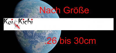 26 bis 30cm
